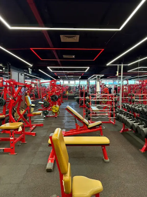 Fitness